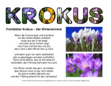 Frühblüher Krokus-Der Winterschreck.pdf